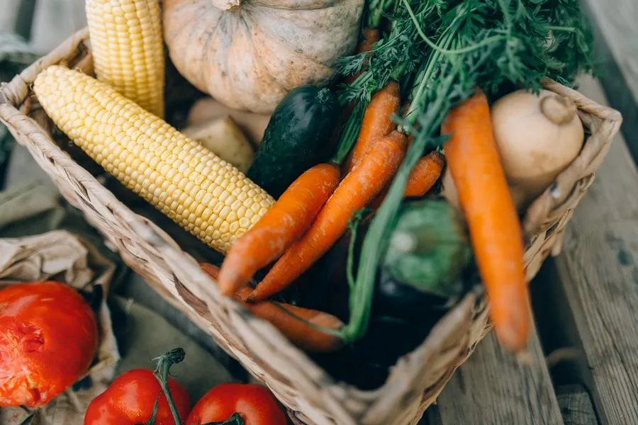 Freshly harvested vegetables in a basket